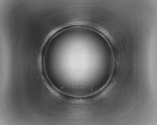 X0000112211030200908071450