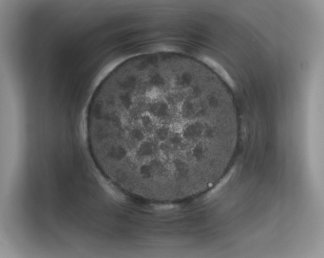 X0000112211031200908071450