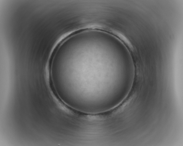 X0000112211032200908071450