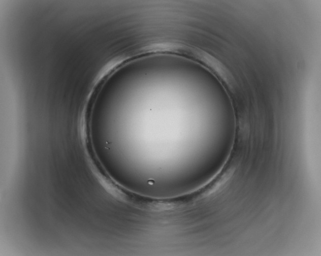 X0000112211034200908071450