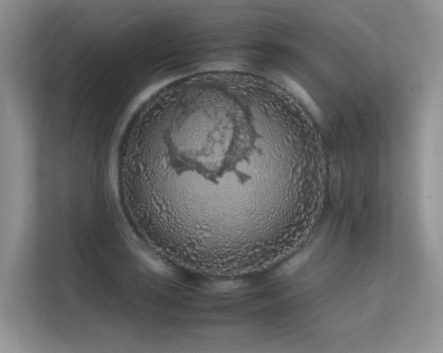 X0000112211035200908071450