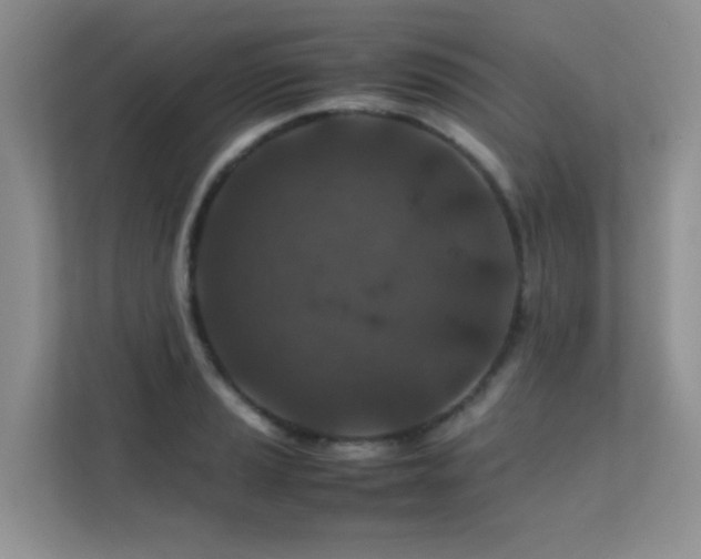 X0000112211037200908071450