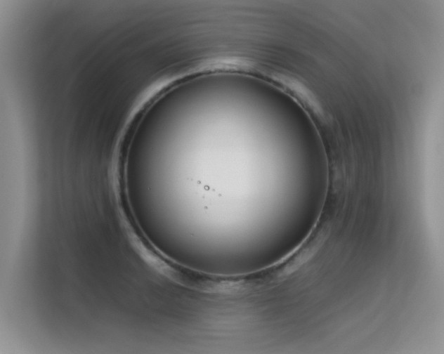 X0000112211038200908071450