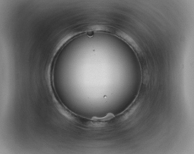 X0000112211039200908071450