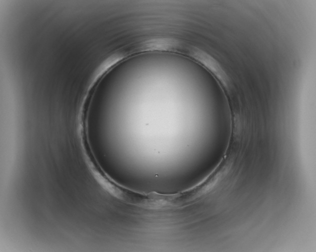 X0000112211042200908071450