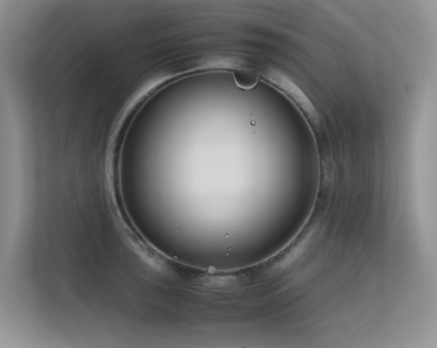 X0000112211043200908071450