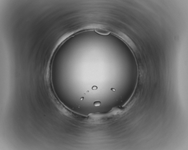 X0000112211044200908071450