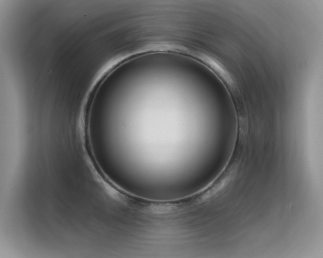 X0000112211046200908071450