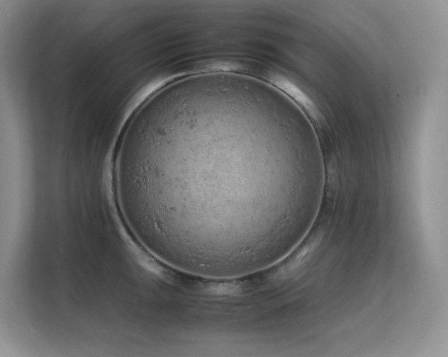 X0000112211047200908071450