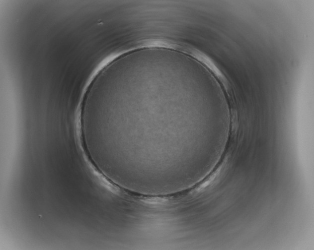 X0000112211048200908071450