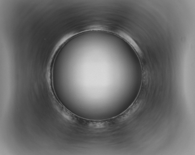 X0000112211051200908071450