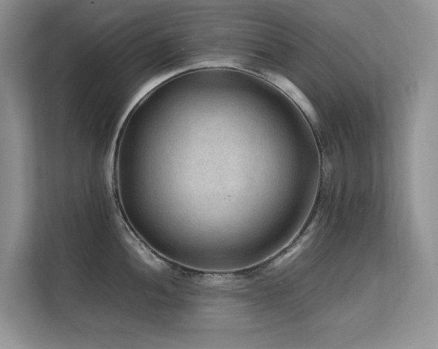 X0000112211052200908071450