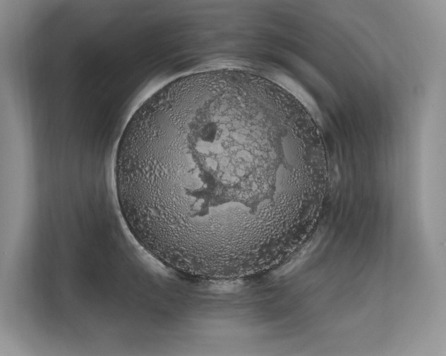 X0000112211055200908071450