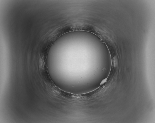 X0000112211059200908071449