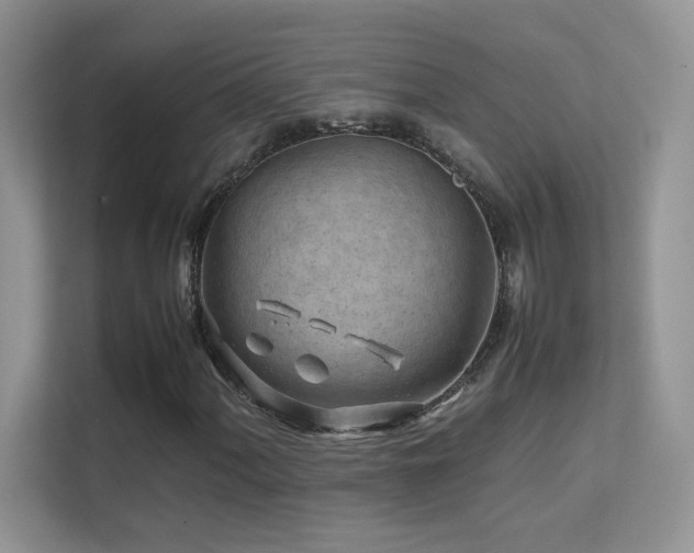 X0000112211060200908071449