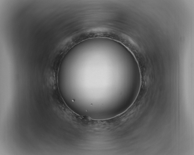 X0000112211062200908071449