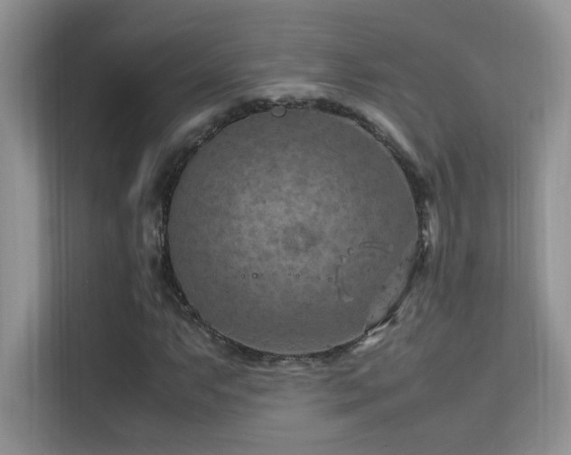 X0000112211063200908071449