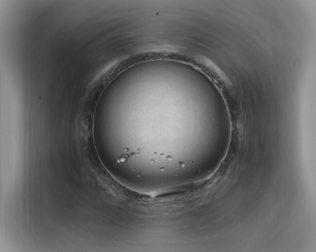 X0000112211064200908071449