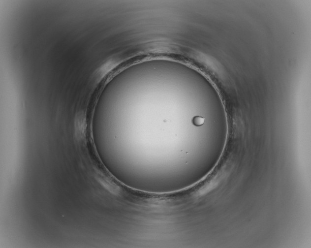 X0000112211065200908071449