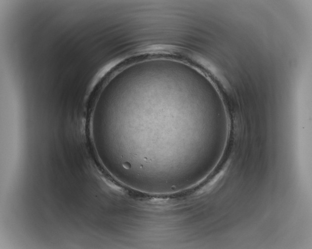 X0000112211066200908071449