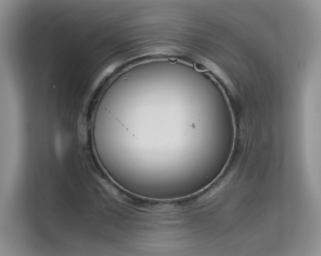 X0000112211067200908071449