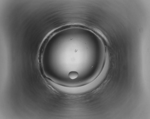 X0000112211068200908071449