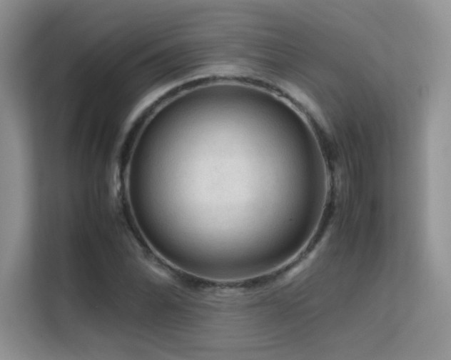 X0000112211070200908071449