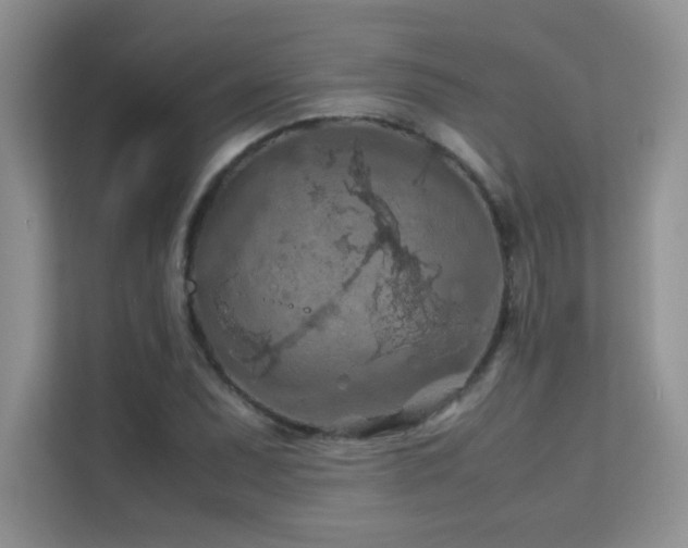 X0000112211071200908071449