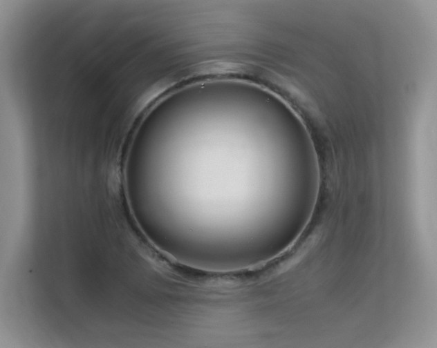 X0000112211073200908071449