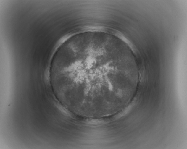 X0000112211074200908071449