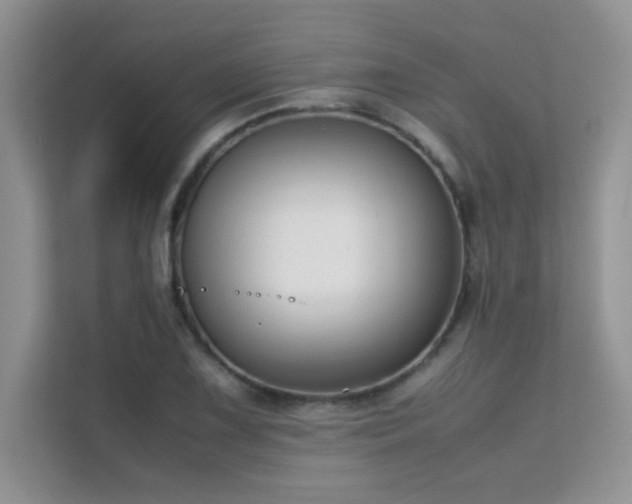 X0000112211075200908071449