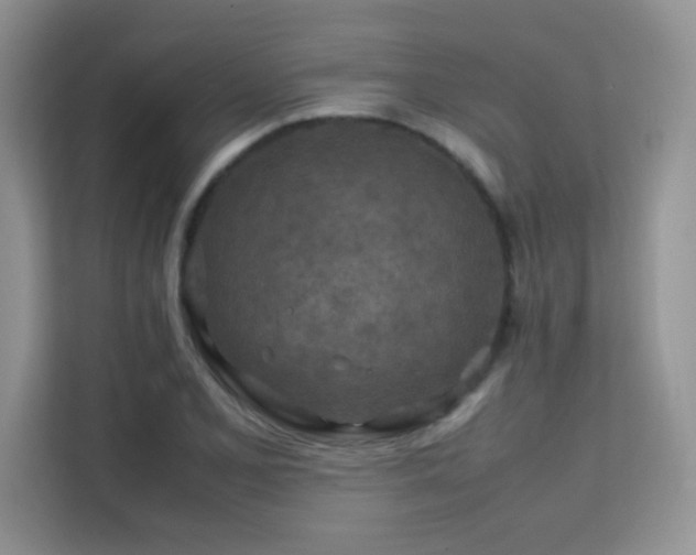 X0000112211077200908071449