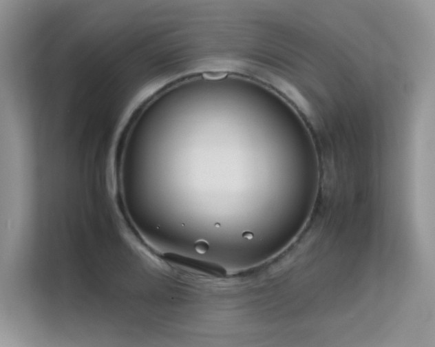 X0000112211080200908071449