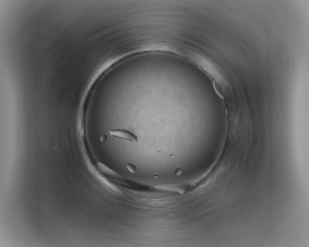 X0000112211084200908071449