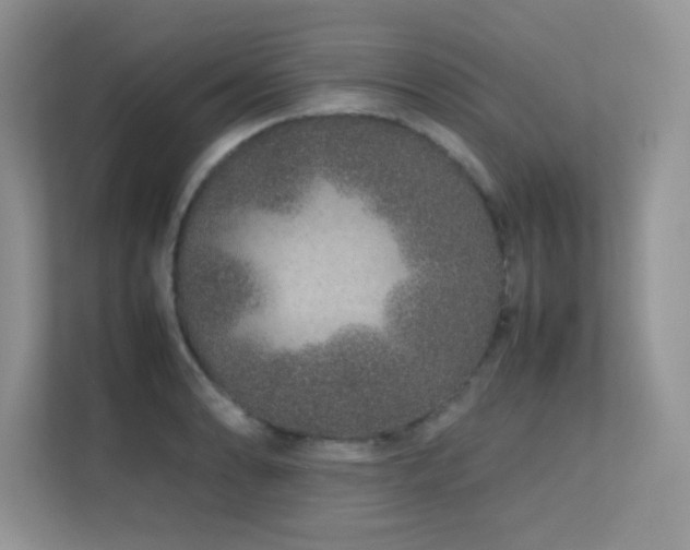 X0000112211086200908071449