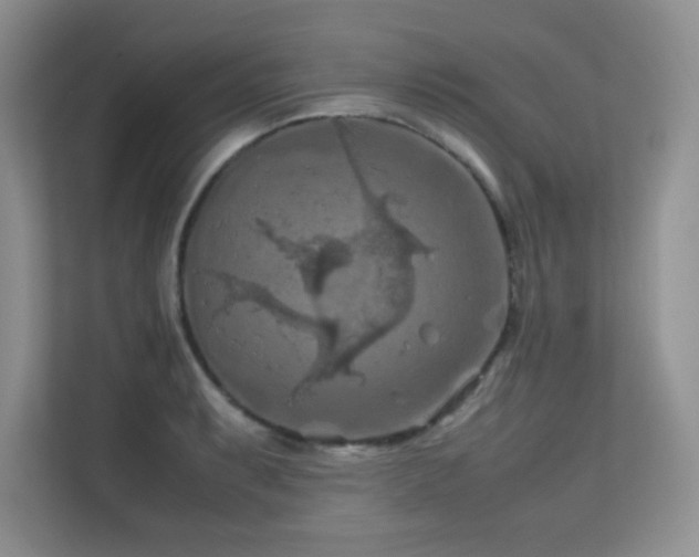 X0000112211087200908071449
