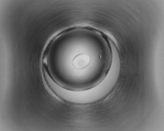 X0000112211088200908071449