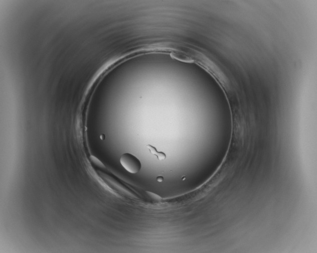 X0000112211092200908071449