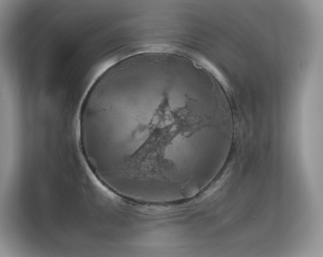 X0000112211095200908071449