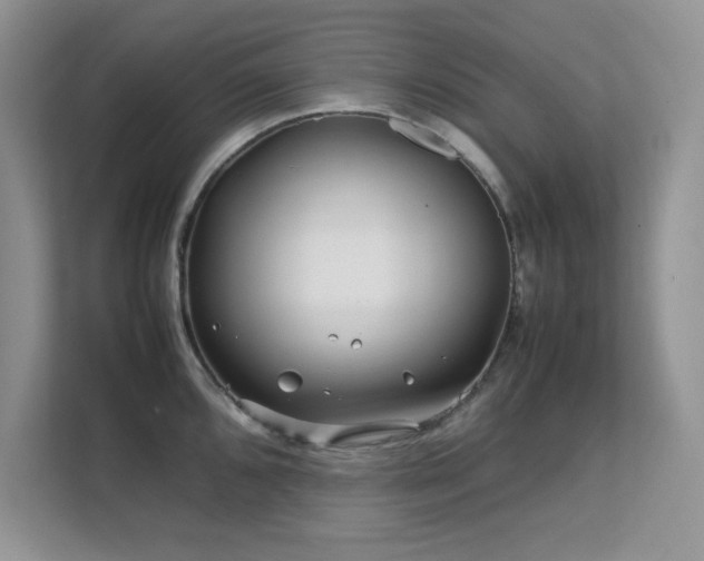 X0000112211096200908071449