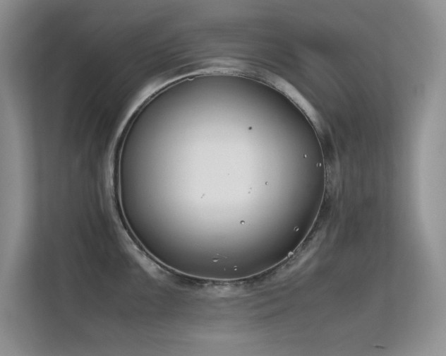 X0000112211099200908071449