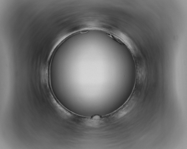 X0000112211100200908071449