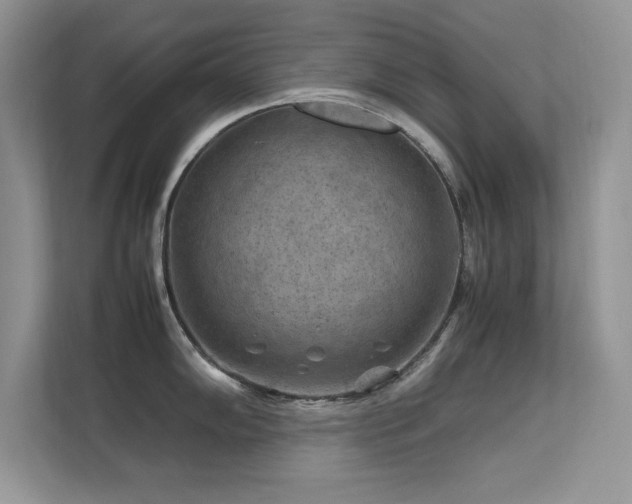 X0000112211102200908071449