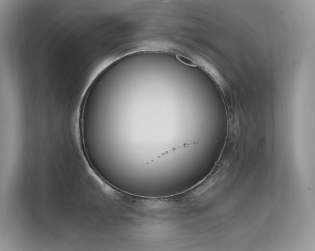X0000112211103200908071449