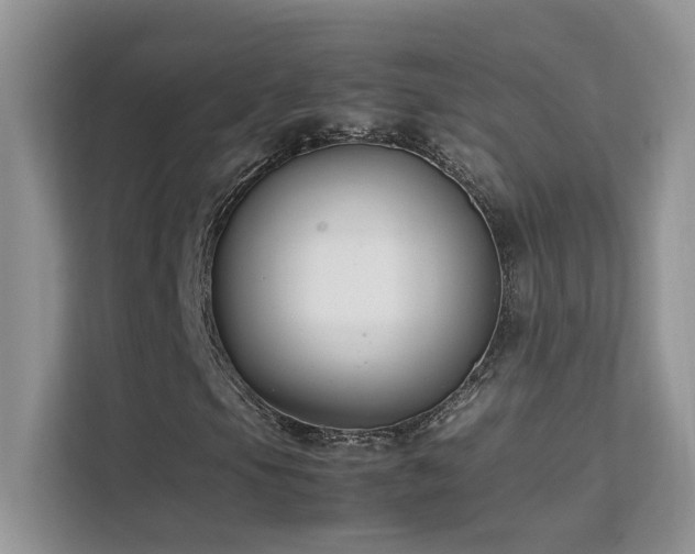 X0000112211105200908071448