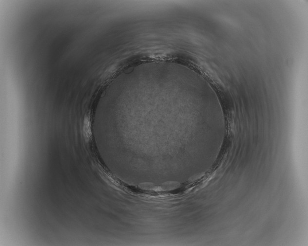 X0000112211106200908071448
