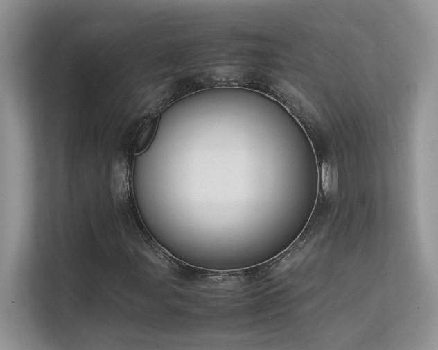 X0000112211107200908071448