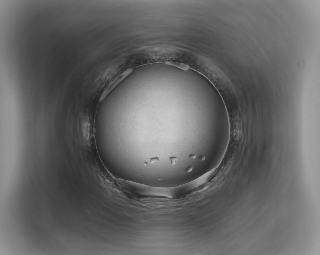 X0000112211108200908071448