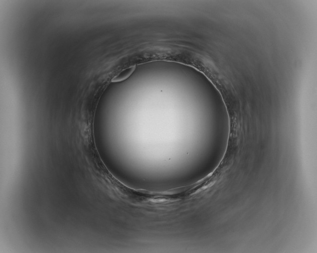 X0000112211109200908071448