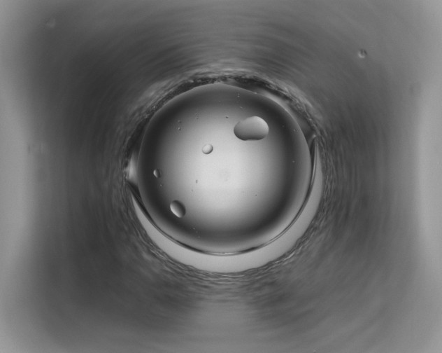 X0000112211110200908071448